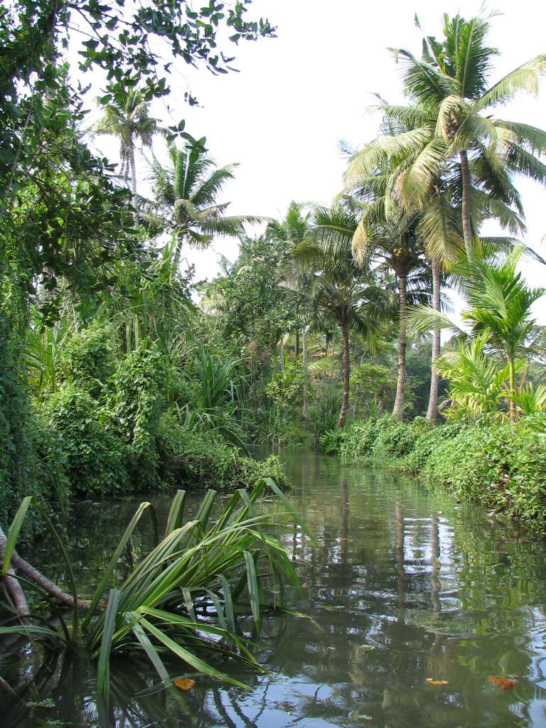 kerala - is it really beautifull