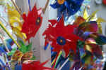 beautiful flowers for me - beautiful flowers for me