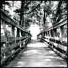 bridge - pretty bridge picture