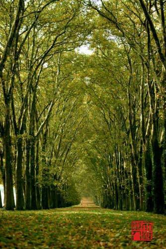 tranquility - peace