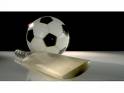 Football and cricket bat - Football and cricket ball