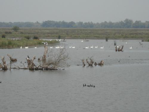 danube - danube danube - danube