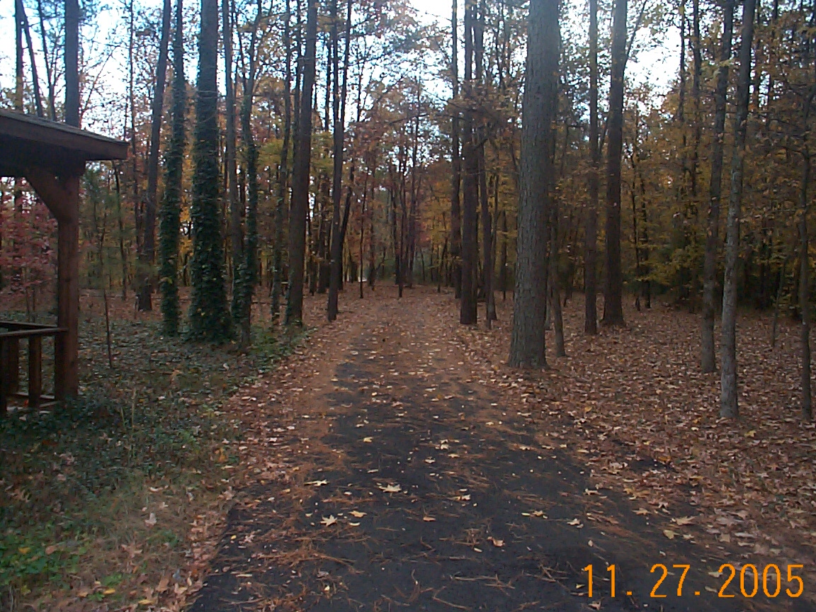 Driveway in fall - My driveway in fall