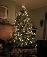 christmas tree - christmas tree display