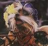 Sir Diddymus - Sir Diddymus the brave fox who helps Sarah and her friends get to the goblin city
