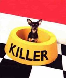 Live Up to Your Name - A picture of a little puppy named 'Killer'