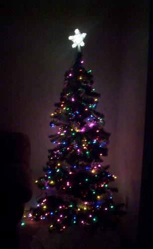 My Christmas Tree - My beautiful christmas tree!