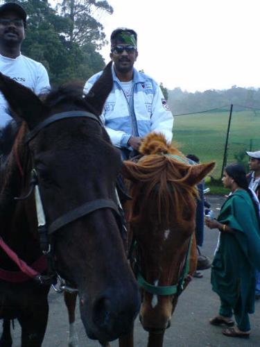 Horse riding - Horse riding is something i really wanna learn but scared of sitting on top of it