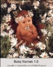 baby day care - sample of your students at day care
