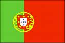 Portugal flag - Portugal flag