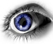 eye  - eye