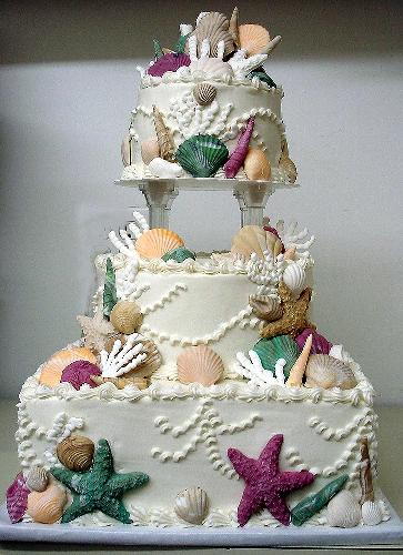 Seashells - This was a wedding cake for someone who wanted lots of sea shells on her cake. They are made out of rolled fondant. It was fun to do.