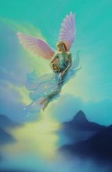 fairy