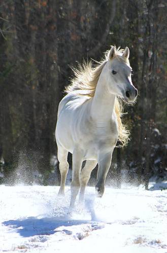 beauty at its best - beauty