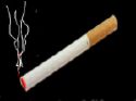 Cigarette - Cigarette