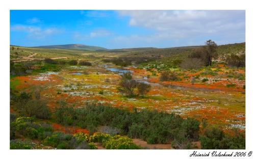 Namaqualand - Model: NIKON D50 ExposureMode: Manual WhiteBalance: Auto FocalLength(35mm): 52(mm) ExposureTime: 1/20Sec FNumber: F16.0