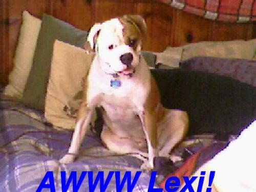 My Brothers Dog - Sure do miss her since she moved to NC!