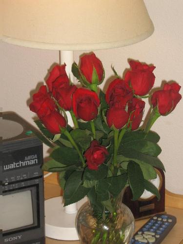 Roses - Rose sitting on a nightstand sent by me. 