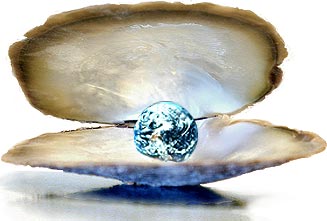 Pearl - Pearl in shell