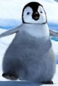 Happy feet - from the movie happy feet