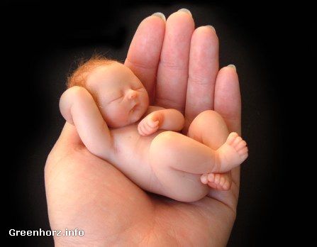 baby - baby