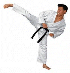 martial arts - kung fu