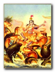 Ganesha - Lord ganesha is god of hindus .People in india praise to him and all the people respect it . Festival of ganesh was celebrated in maharashtra and all over india with joy between hindu brothers.