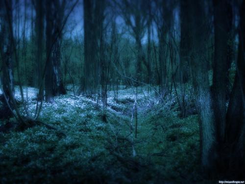 Undead Garden - Undead Garden