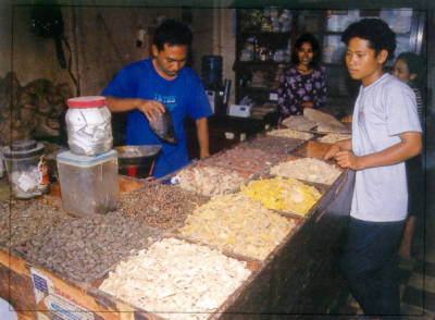 malang - malang