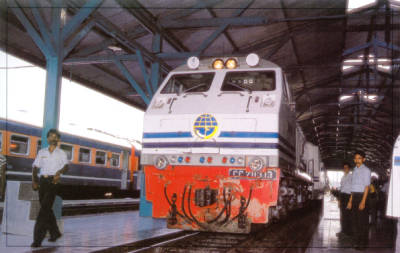malang - malang
