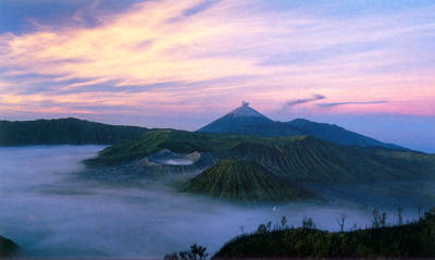 malang - malang