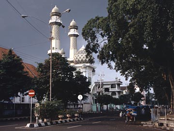 malang - malang