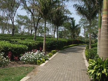 malang - malang