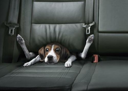 Help,im stuck. - Help me Ive been here for ever.