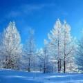 winter - winter