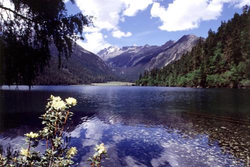lake - lake