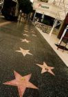 hollywood stars walk - hollywood stars walk