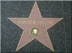 hollywood stars walk - hollywood stars walk