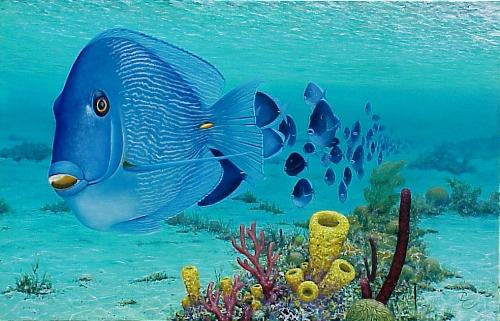 beautifull blue  fish - fish