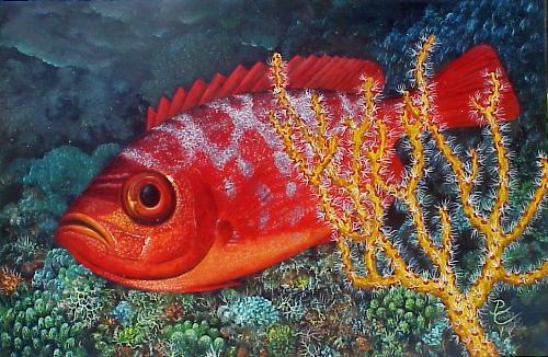red fish - red fish