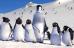 happy feet - happy feet