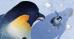 happy feet - happy feet