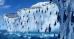 happy feet - happy feet