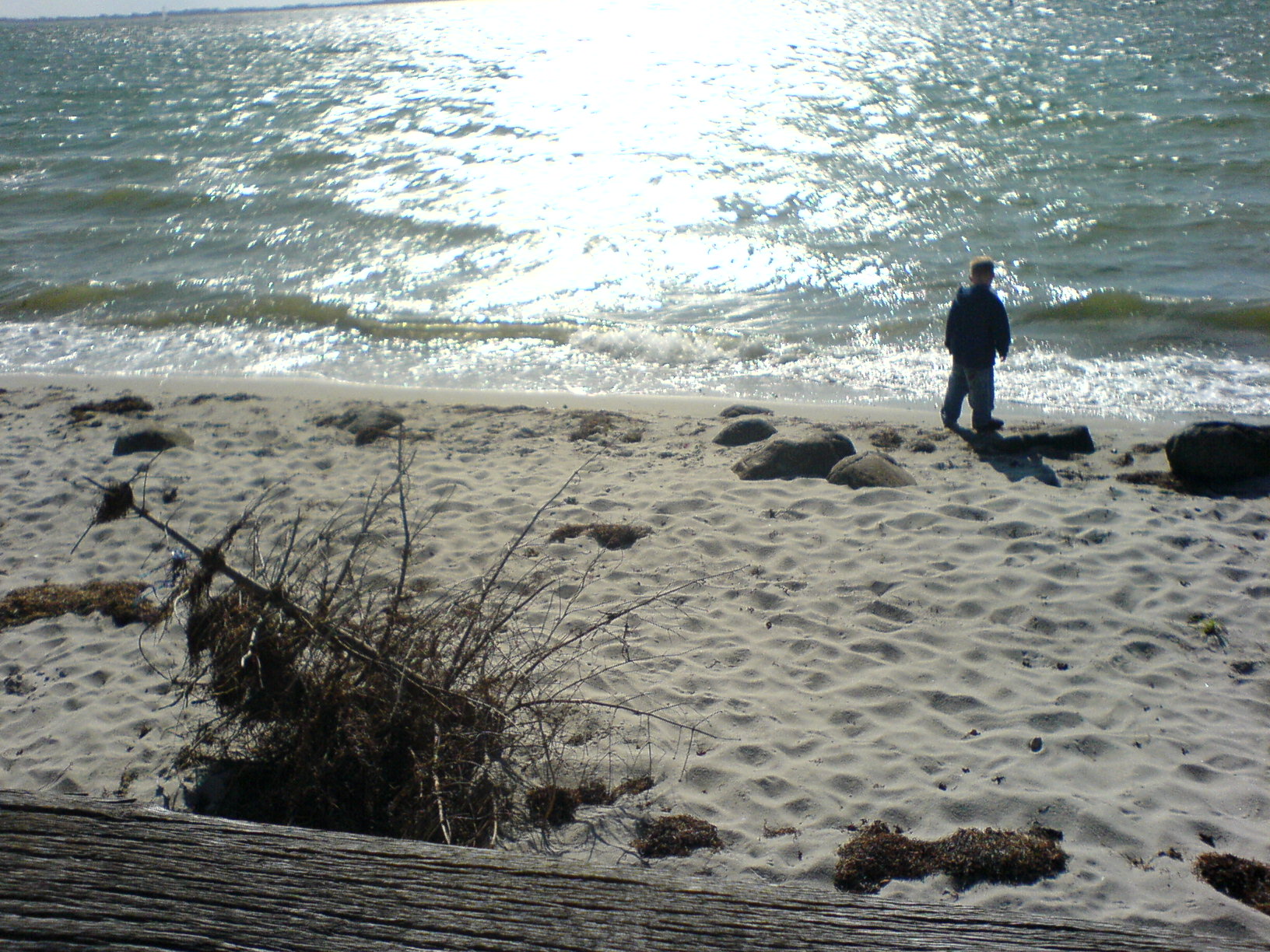 Ice Cold beach - I made this picture in the beginning of 2006. I saw that child and that old rotten x-mas tree. It was like a picture in my head, that showed something old dead and something new that still has to grow and unfold.