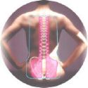 .........posture and health - spine .........posture and health - spine