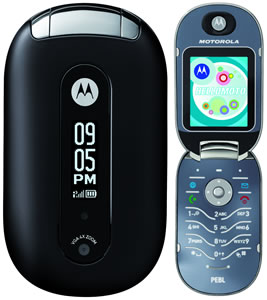 motorola v6 pebl - motorola v6 pebl