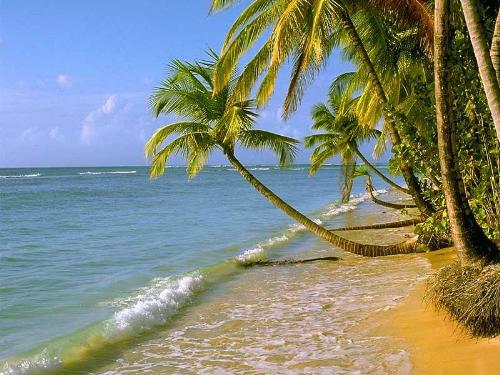 nature - bautiful nature