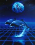 dolphin - goes swimming by the river...