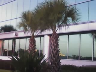 Florida - florida