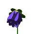 flower - flower